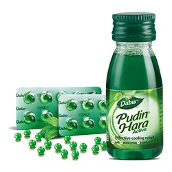 Dabur Pudin Hara